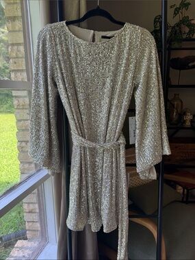 Silver Sequin Bell-Sleeve Mini Dress